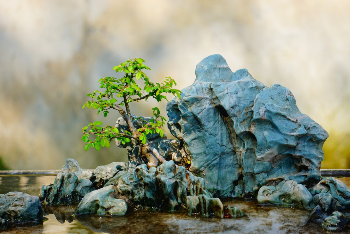 古鎮(zhèn)游玩，有一種說走就走的旅行