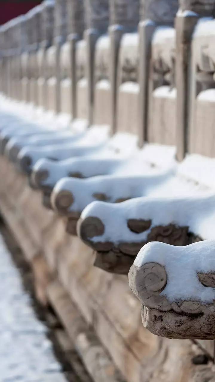 最美中國古建筑：紫禁城下雪了！