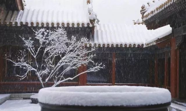 最美中國古建筑：紫禁城下雪了！