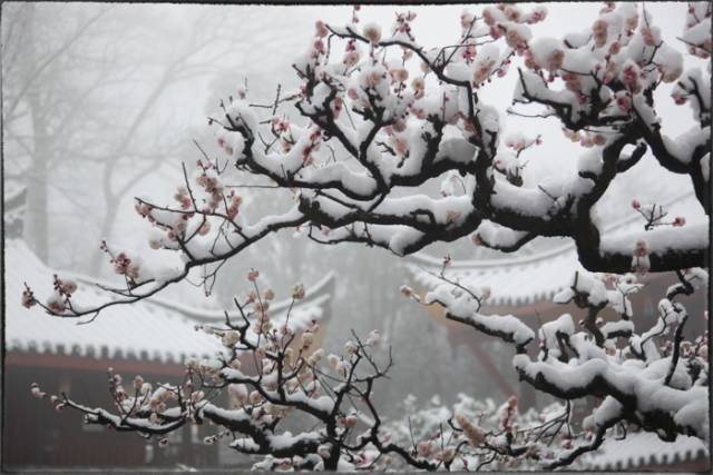 古建筑攝影：天上人間中國(guó)古建筑之美 !