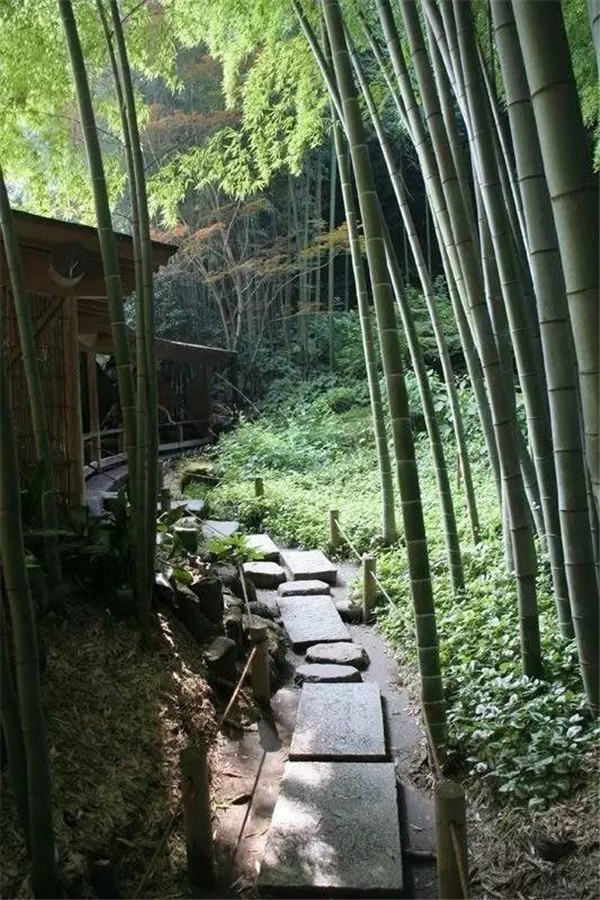 園林設(shè)計(jì)高清舒雅之竹