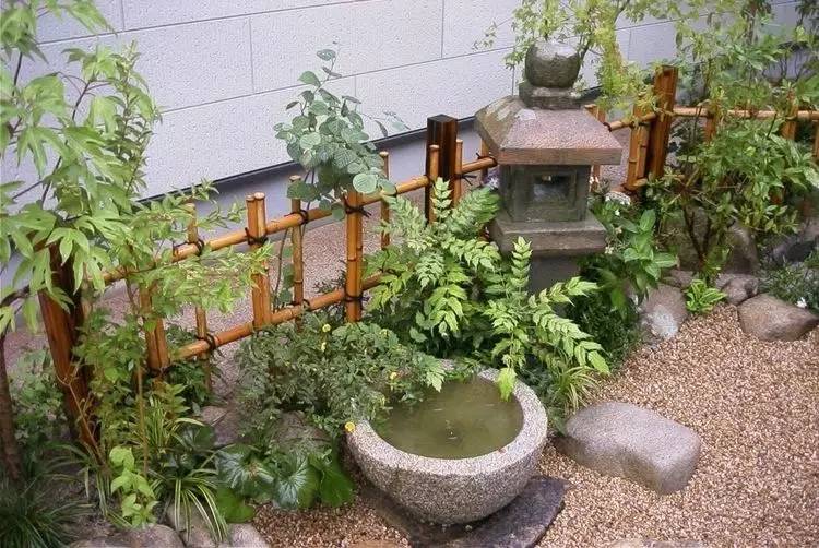 庭院設(shè)計(jì)，竹子在庭院中造景的運(yùn)用