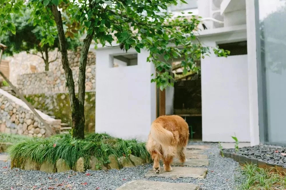 千島湖|傾境，慢生活消磨著自己的時(shí)光