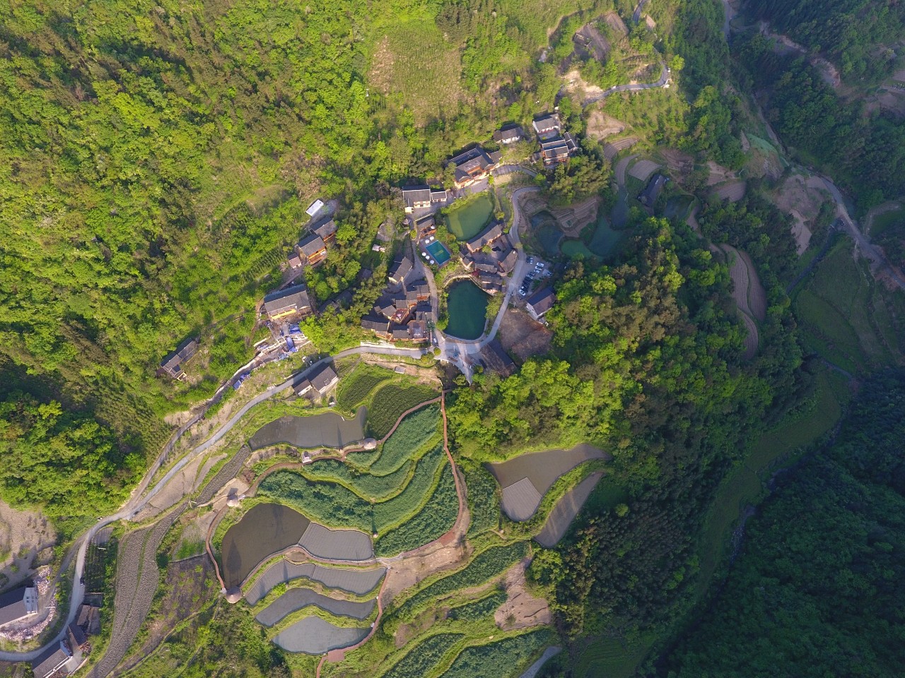 張家界·五號山谷，山谷在重生！