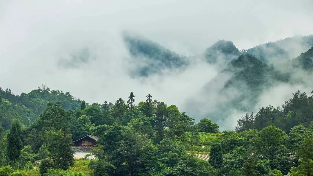 西顧·望城山居，闖入仙境等待一場(chǎng)花開(kāi)的心動(dòng)