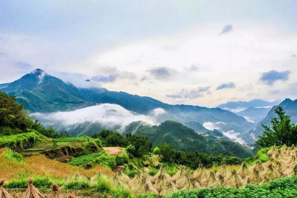 杭州·相見茶舍，若無相欠怎會相見