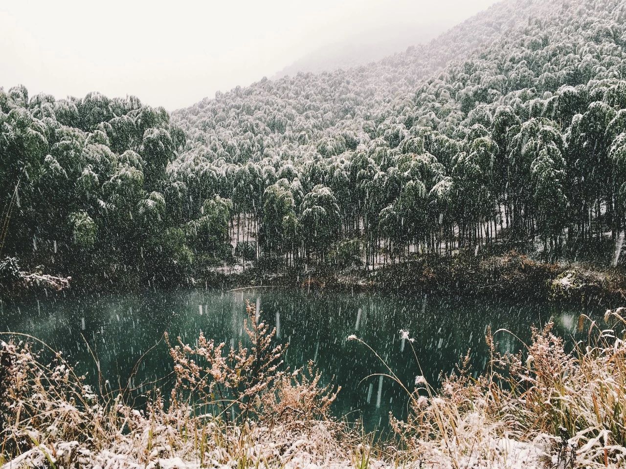 莫干山·玖悅度假酒店，沉浸在風(fēng)景里