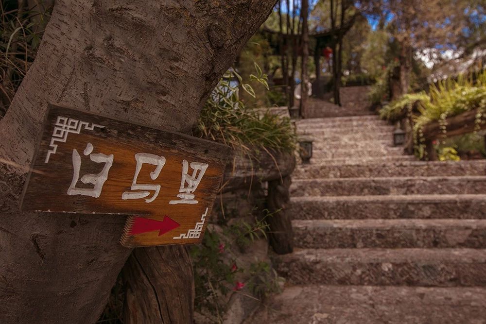 麗江·白馬里，千年古城化作最美背景