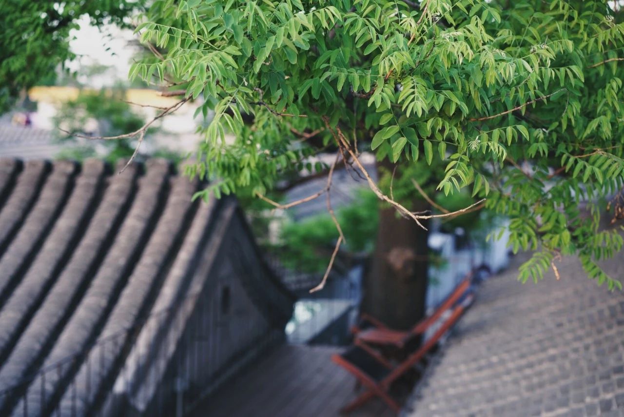 北京·有術(shù)，網(wǎng)紅建筑師青山周平的新作