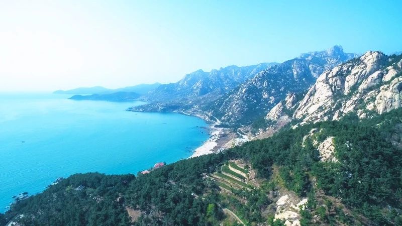 青島·瑞宿海棲，等你來就讓瑞宿帶你環(huán)游青島