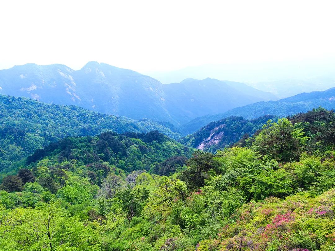 麻城·云夢(mèng)如故，山里的房子就該有山里的味道