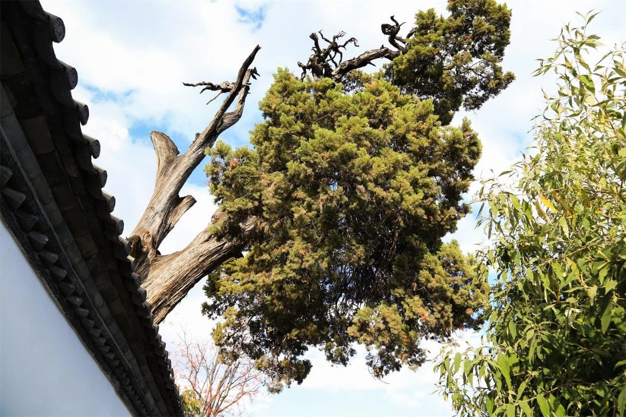 麗江·浮云社，將一切凡塵俗世都看作浮云