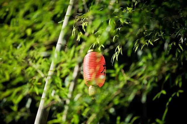 九華山·開(kāi)元美途，置身俗塵外身心天地寬