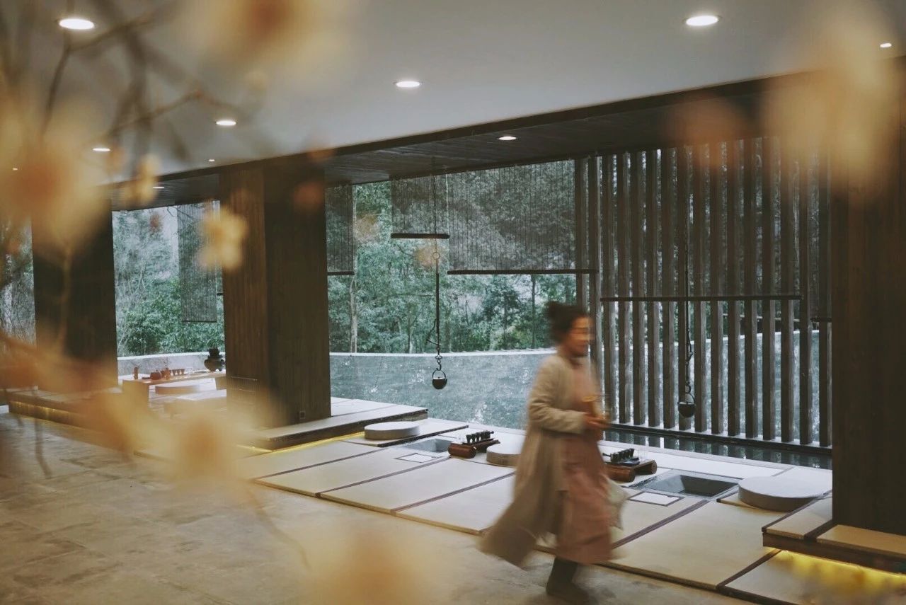 成都·坐忘森林，一宿一悟在火鍋之城住森林里
