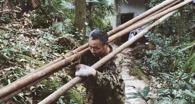 成都·坐忘森林，一宿一悟在火鍋之城住森林里