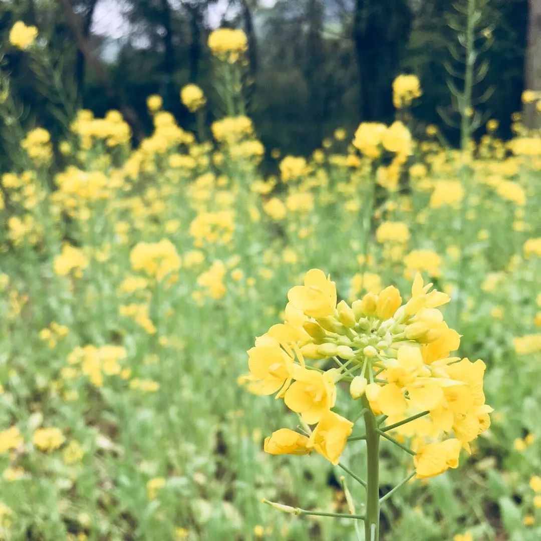 莫干山·梵谷，回歸自然的日子才是最難得