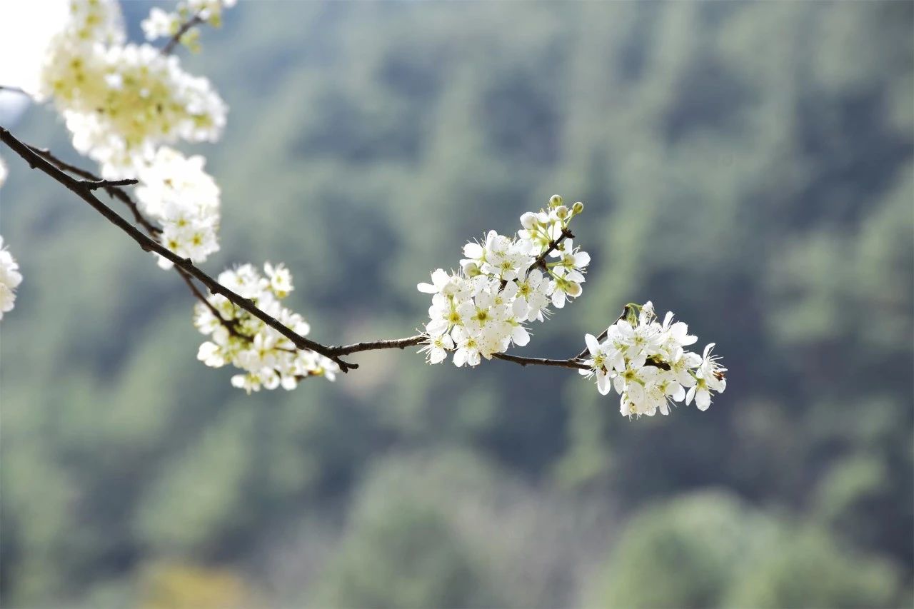 桐廬·水喜，太陽東升西落便是一天的標(biāo)記