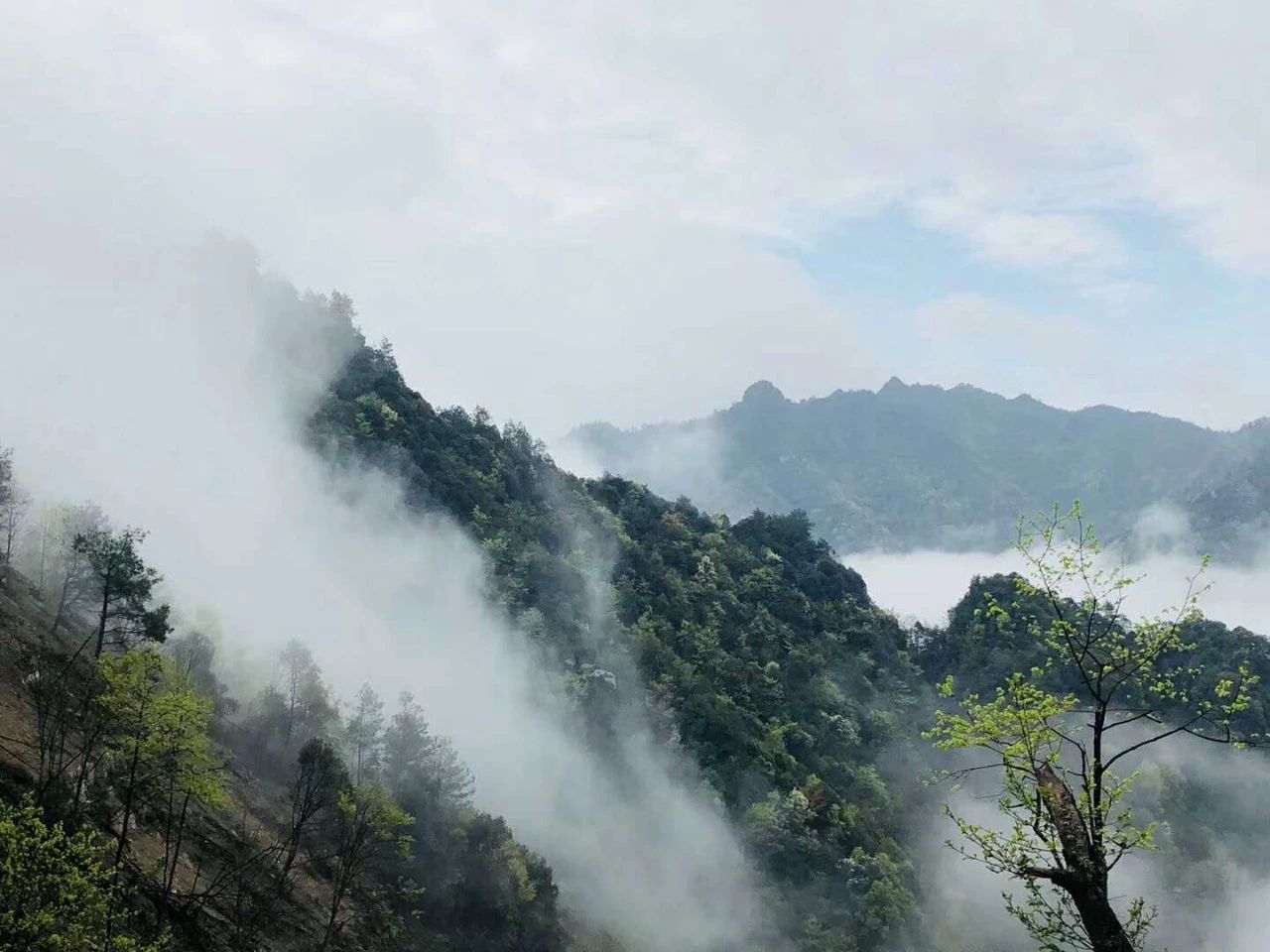 貴州·群山之心，因為夢想所有辛勞皆喜悅