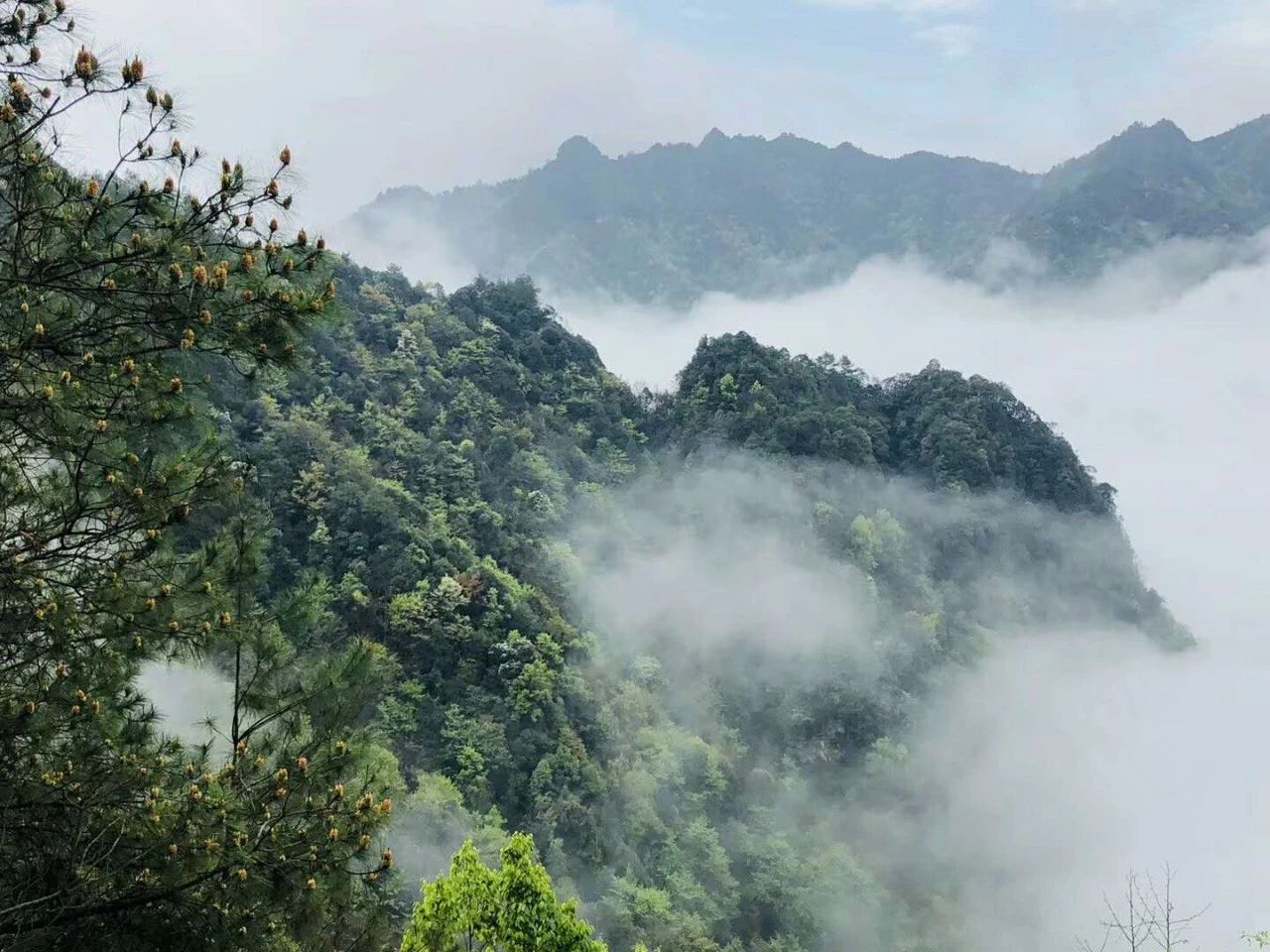 貴州·群山之心，因為夢想所有辛勞皆喜悅