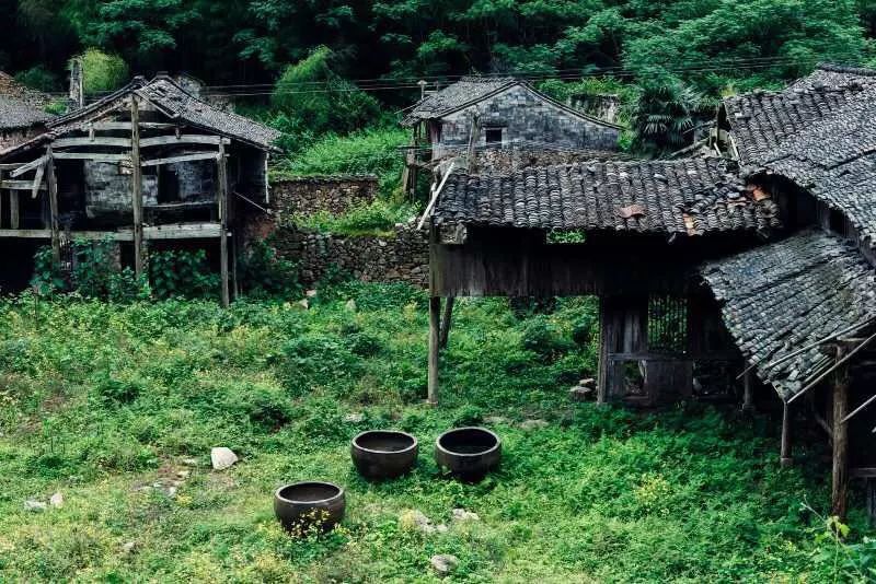 臺州臨海·草宿，骨子里流淌的鄉(xiāng)愁烙印