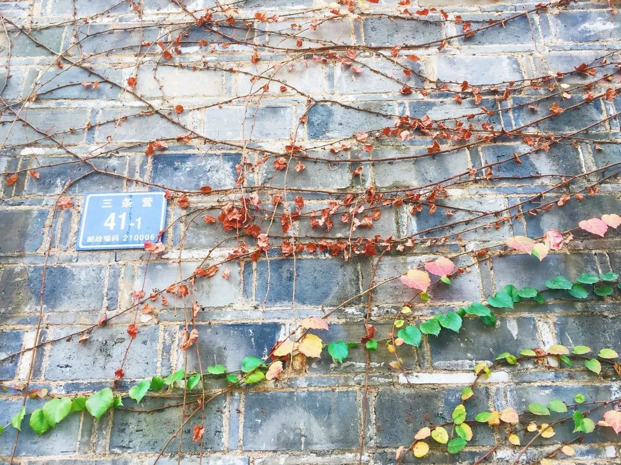 隱南·門東，有著金陵六朝古都的味道