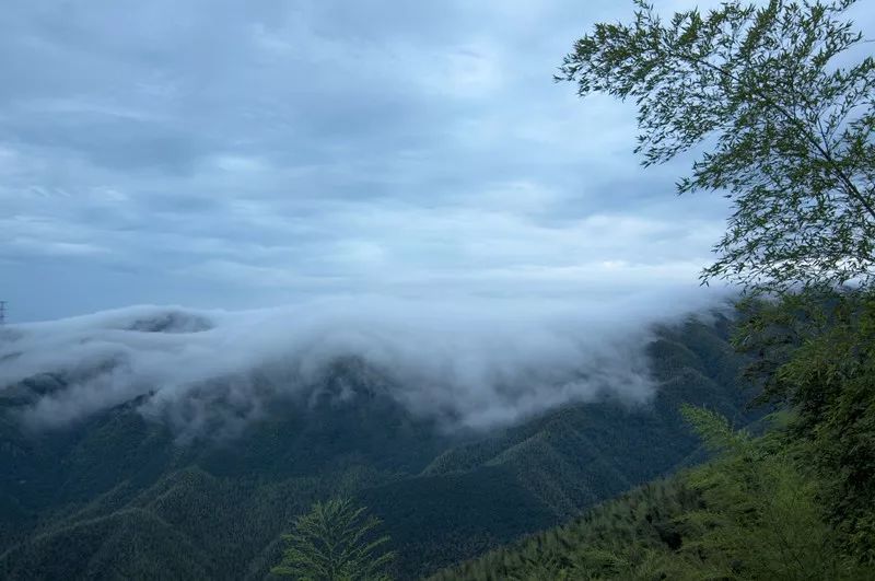 杭州·菩提谷，與你一起私有群山秘境