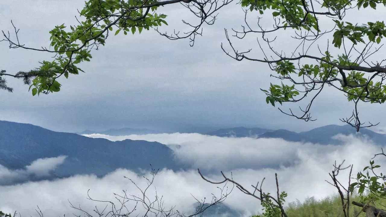 杭州·菩提谷，與你一起私有群山秘境