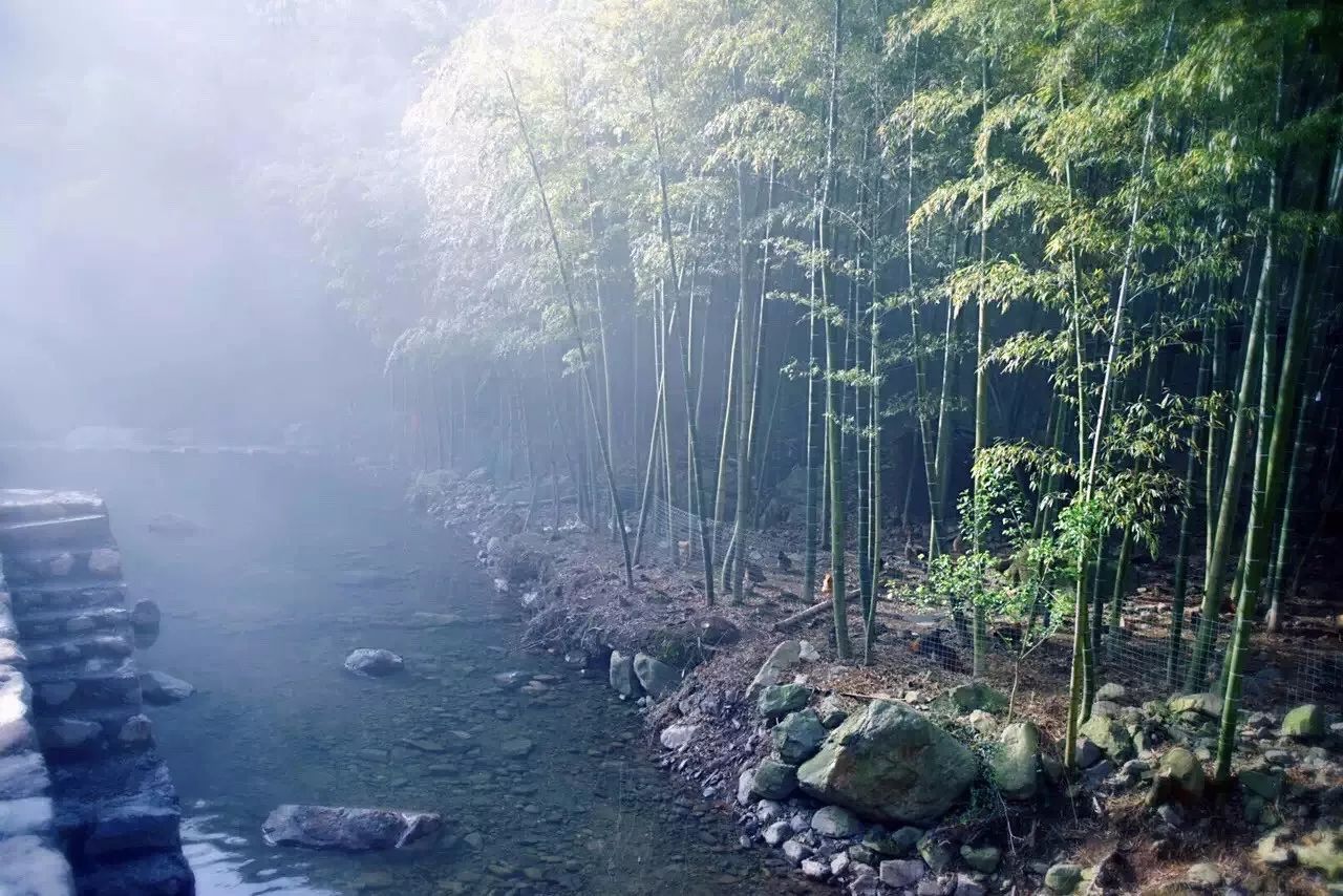 杭州·菩提谷，與你一起私有群山秘境