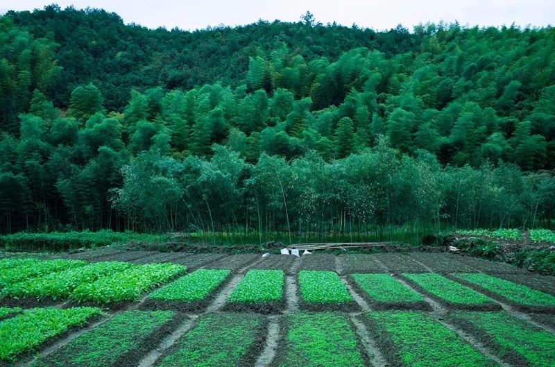 杭州·菩提谷，與你一起私有群山秘境