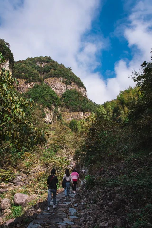 麗水·曼山居，依山而居便不知人間是何夕