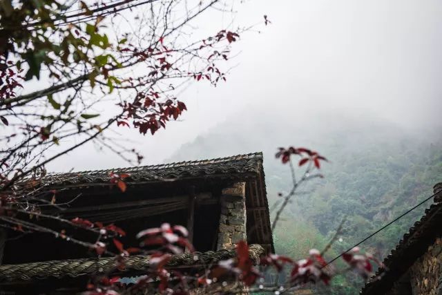 麗水·曼山居，依山而居便不知人間是何夕