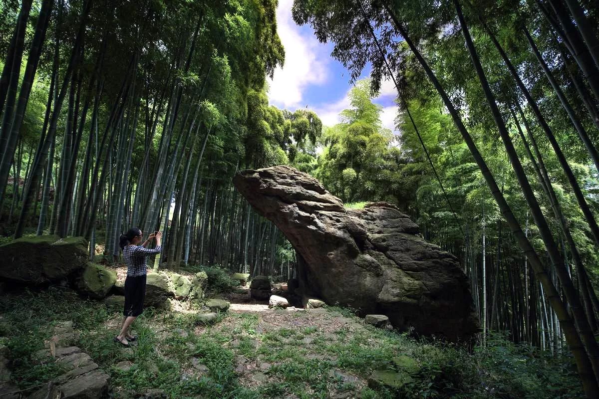 莫干山·宿里，一處桃花源建一處詩意棲居之所