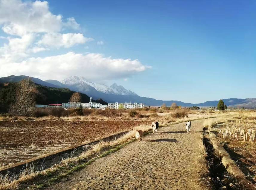 麗江束河·雲(yún)山南，相愛真的是一種奇跡