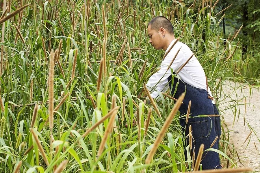 青城山·路之青城，山溝里的豬圈民宿