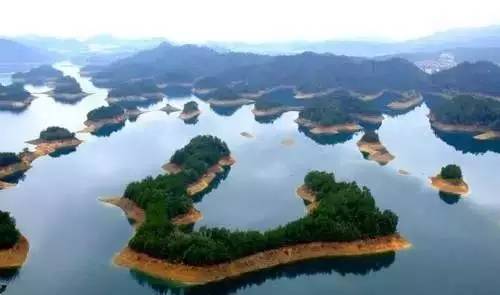 雪坑村·美客愛(ài)途，愛(ài)上美麗的客居地和旅途故事