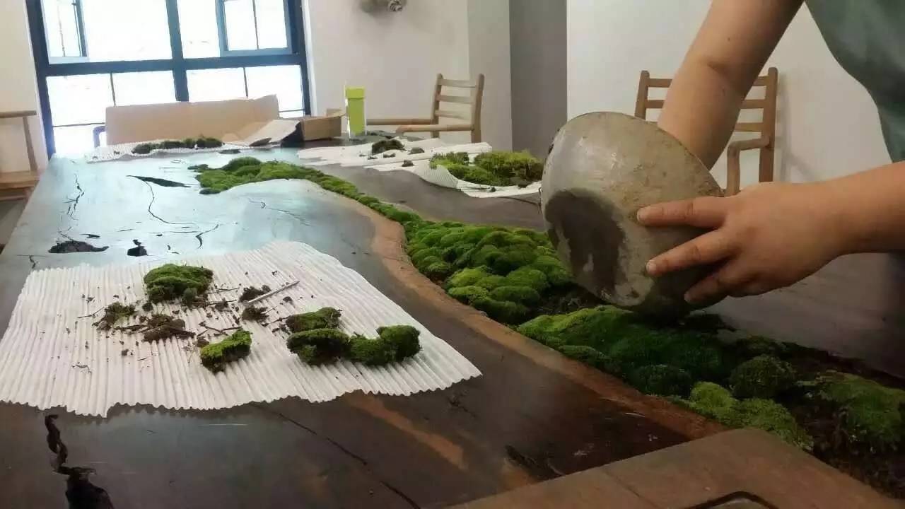 雪坑村·美客愛途，愛上美麗的客居地和旅途故事
