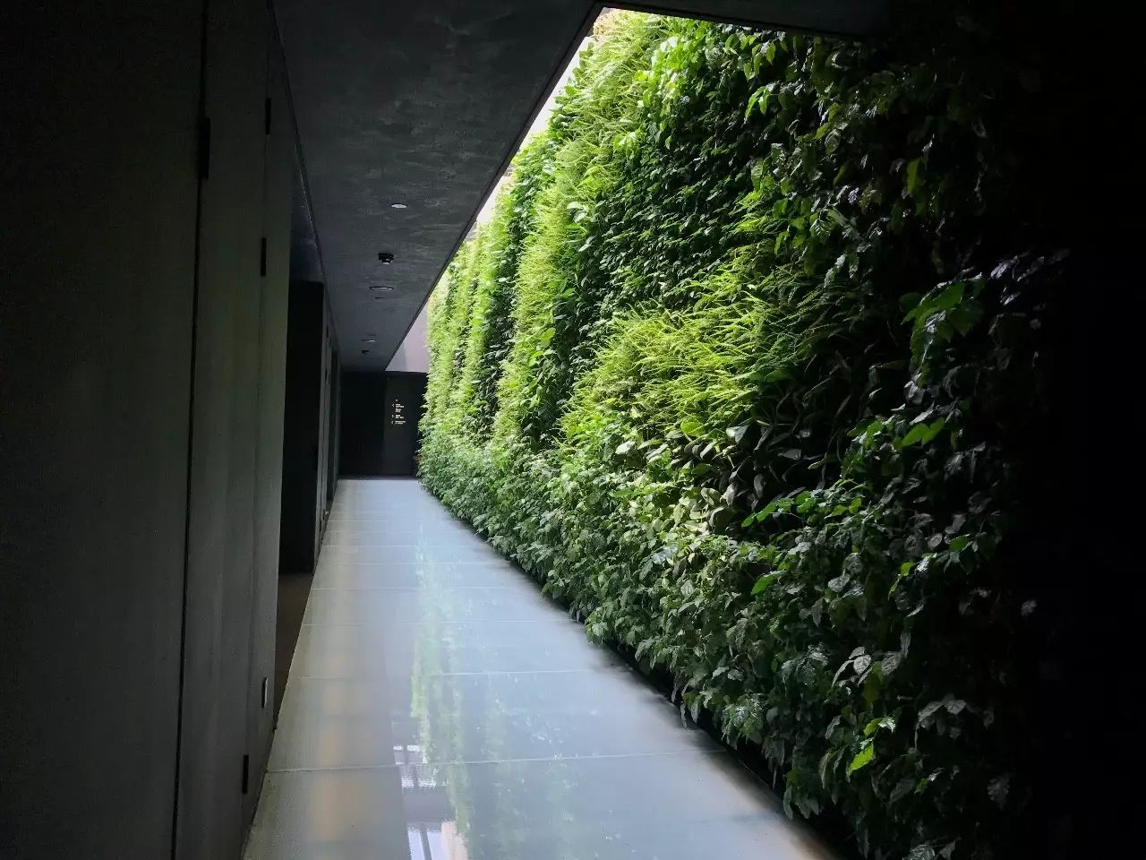 杭州·駐Hotel,在杭州最美季節(jié)體驗藝術空間