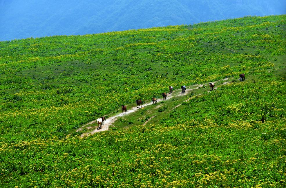 皇木鎮(zhèn)·壹間房，住進(jìn)云霧間愛上一座城