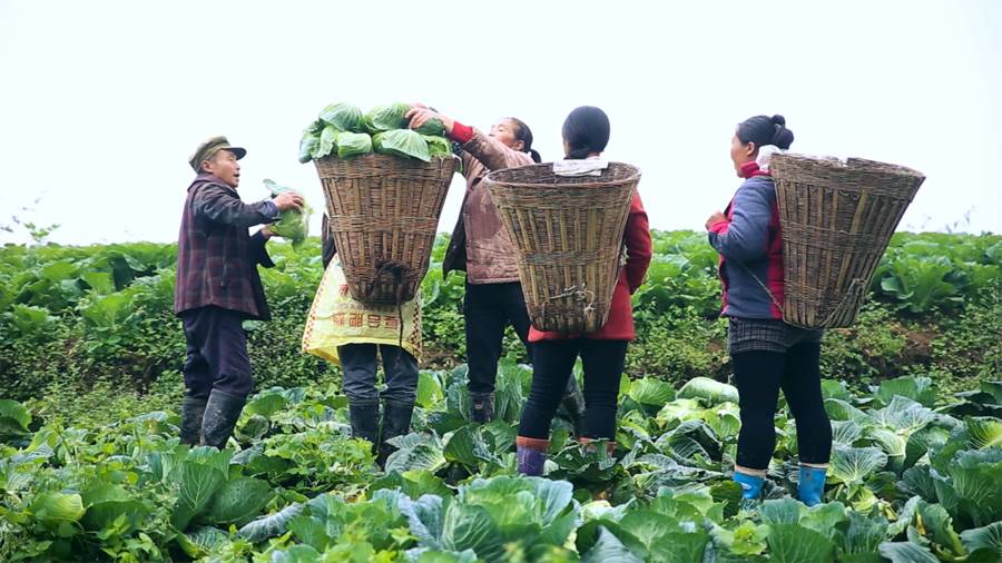 皇木鎮(zhèn)·壹間房，住進云霧間愛上一座城