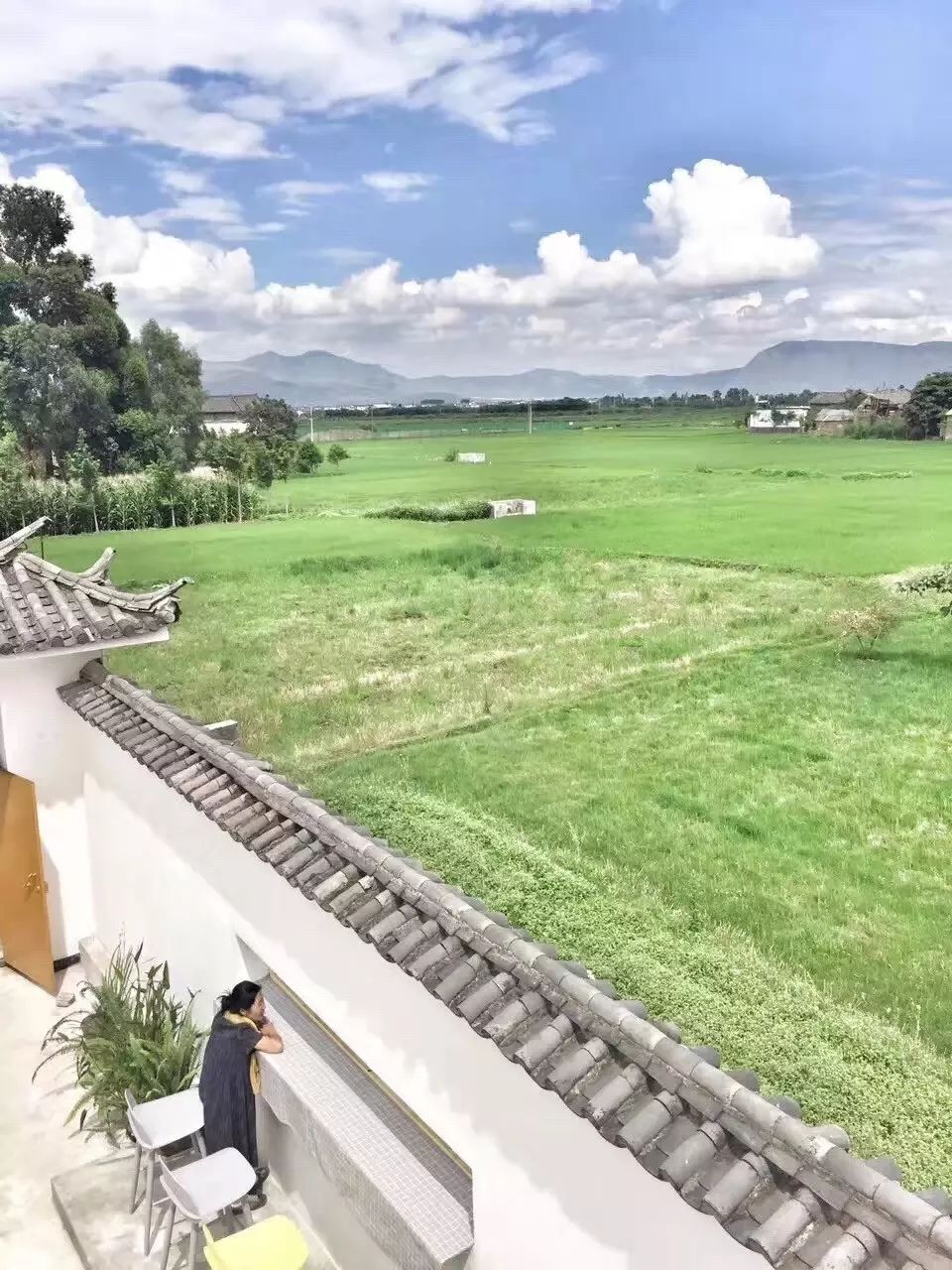 大理·依谷坐憩，在稻田里種間甜品店靜待光陰