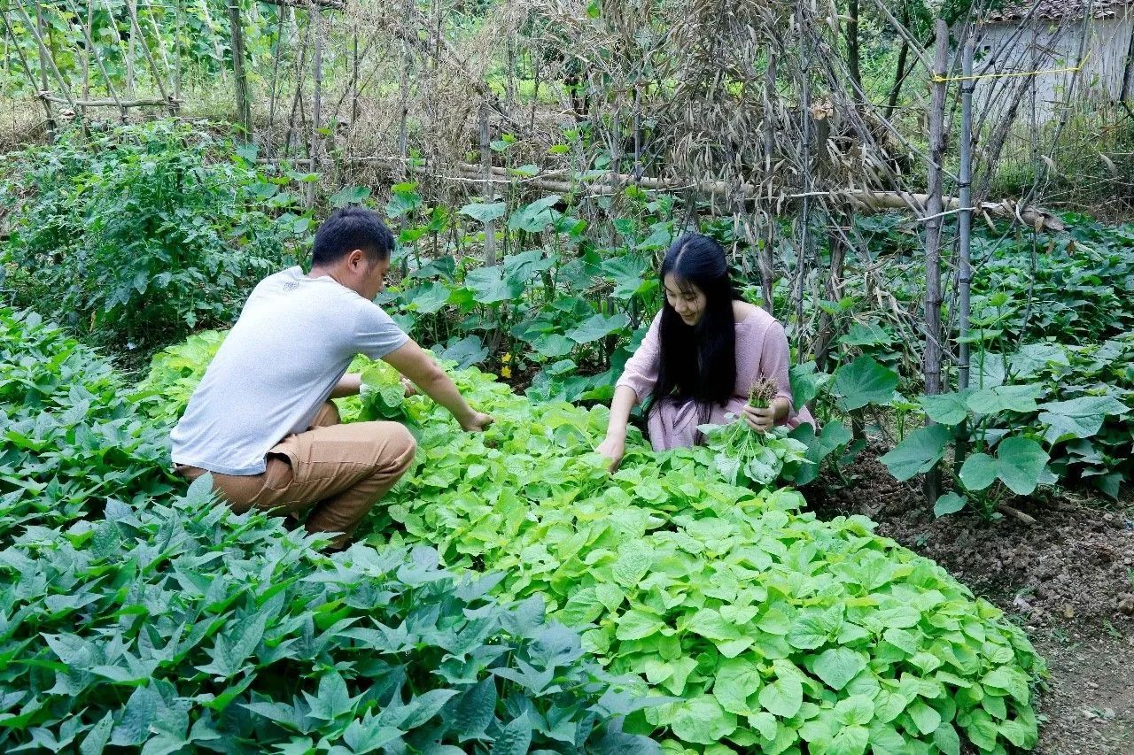 村上酒舍，體驗(yàn)古村生活一起慢慢變老