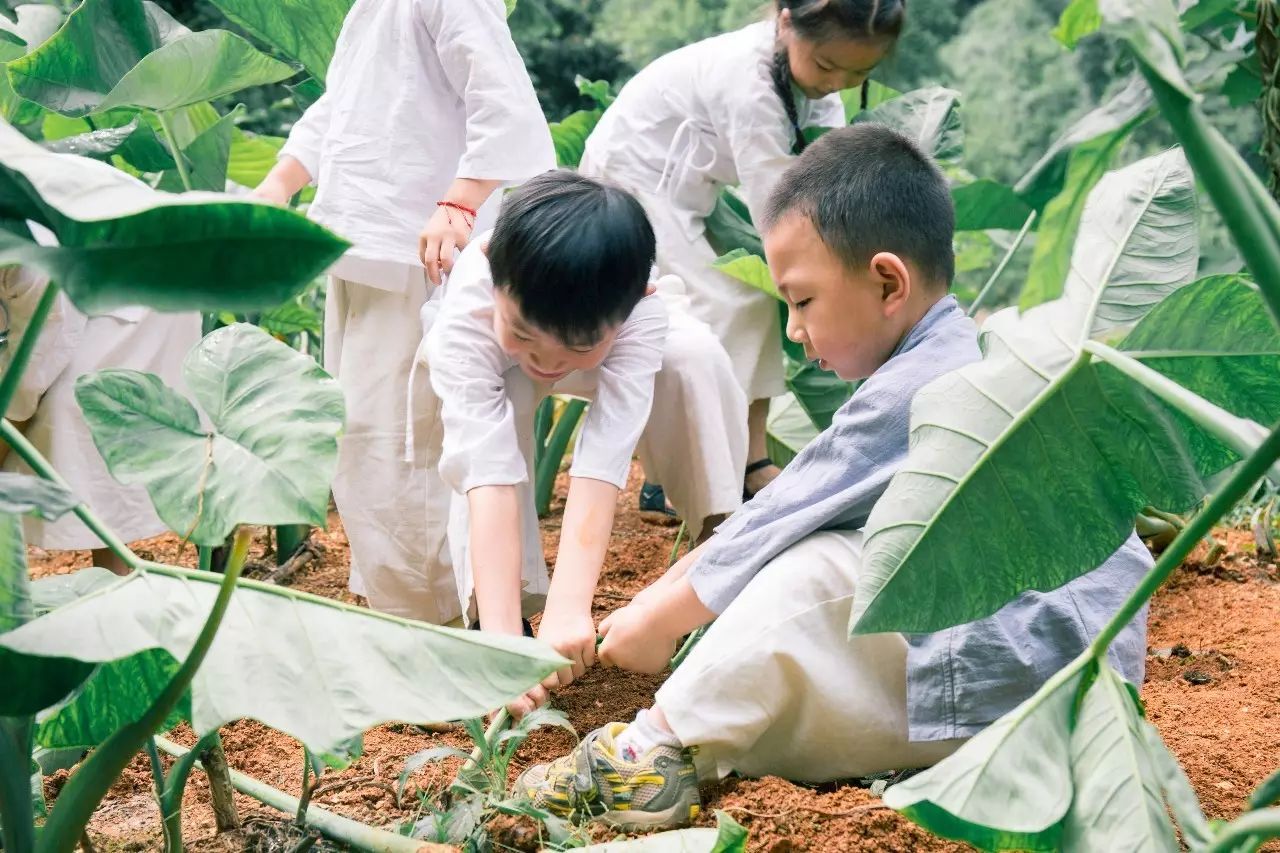 壩美·歸園，隱居聽心歸于自然盡享鄉(xiāng)村野趣