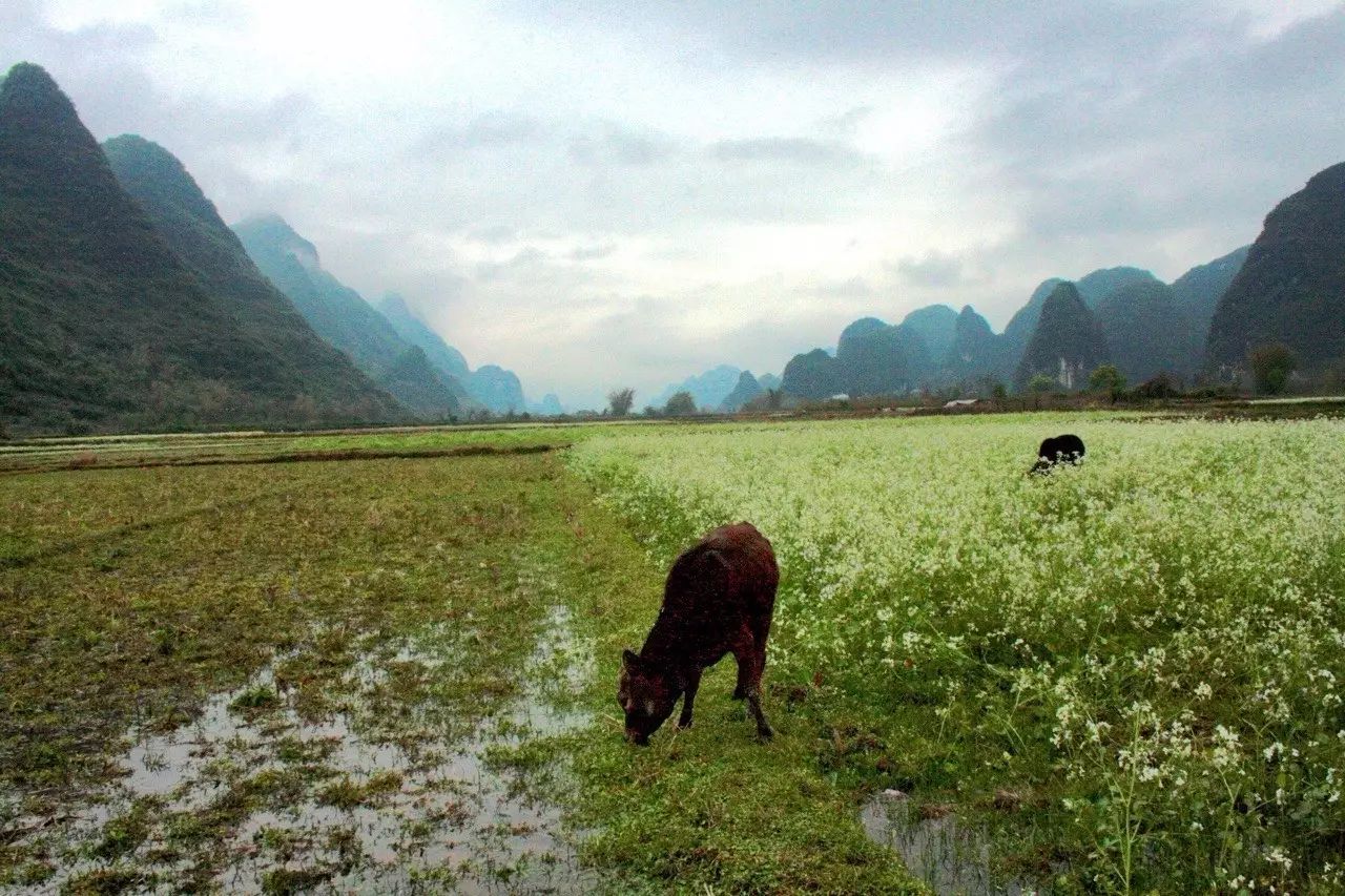 云澗阡陌·野望，特色度假小鎮(zhèn)體驗(yàn)親子主題民宿