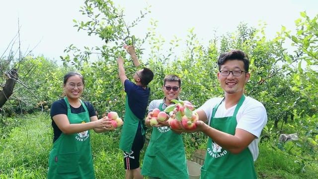 煙臺·極客客棧，歡迎每一顆想要逃離的心