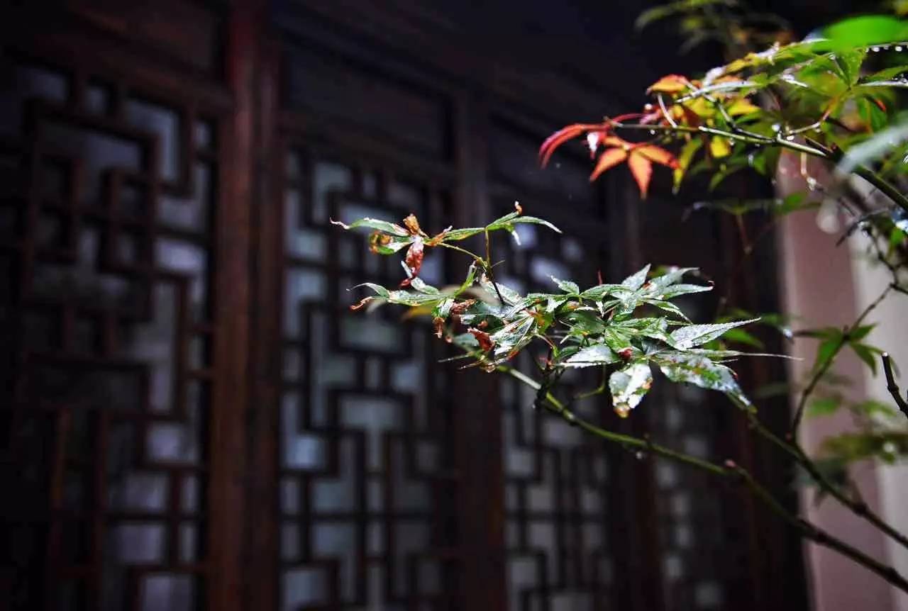 塘棲古鎮(zhèn)小茶姑娘，古鎮(zhèn)溪邊沐浴清風滌蕩心靈