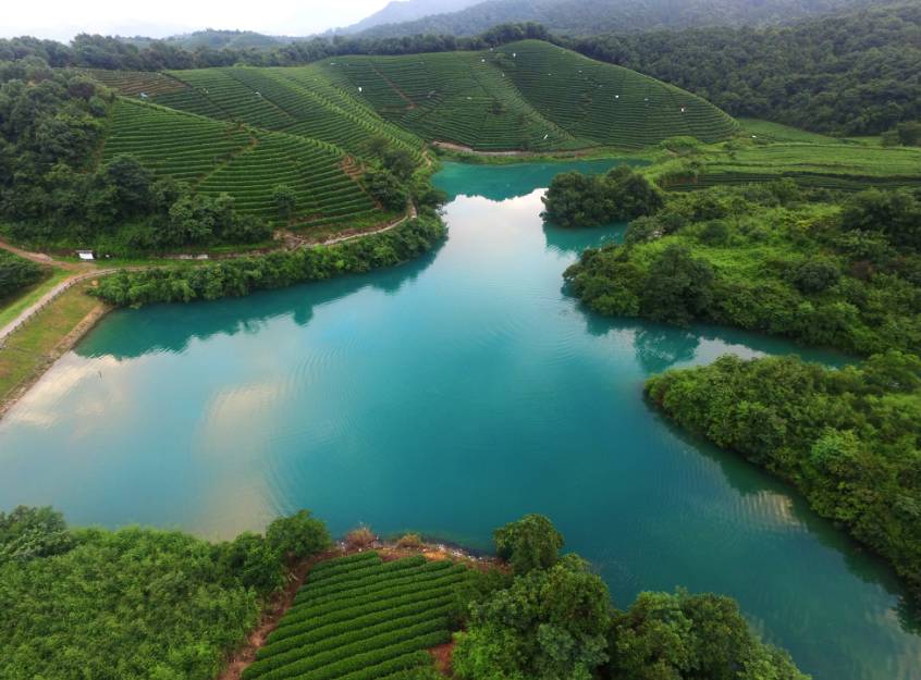 茗墅茶莊園，西湖以外的西湖