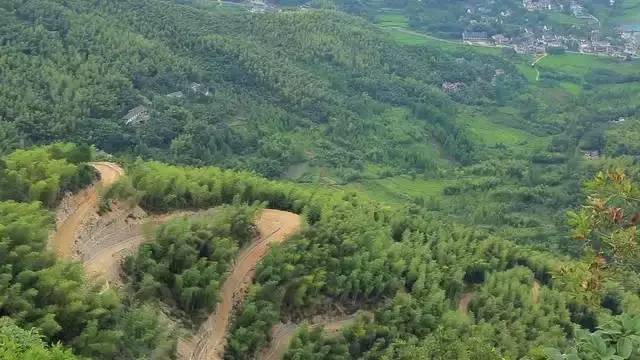 珀洱半坡，在竹海樹林之間盡享山間好風光