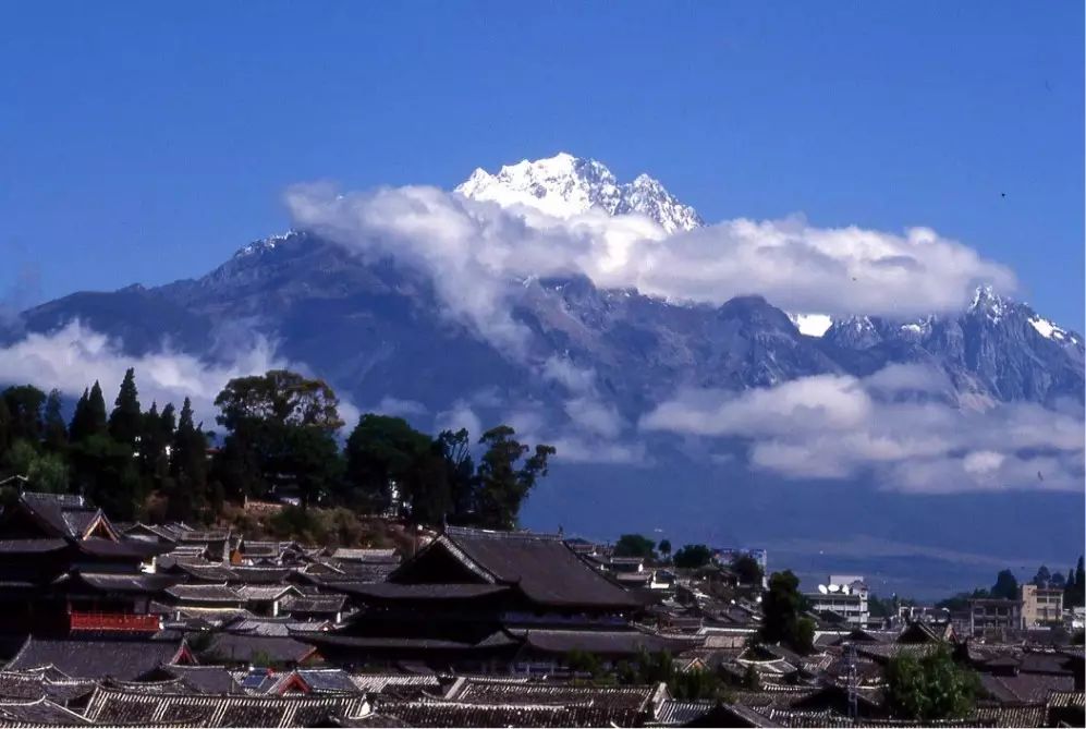 束河桃花塢，在茶馬古道浮生清閑陪父母慢慢變