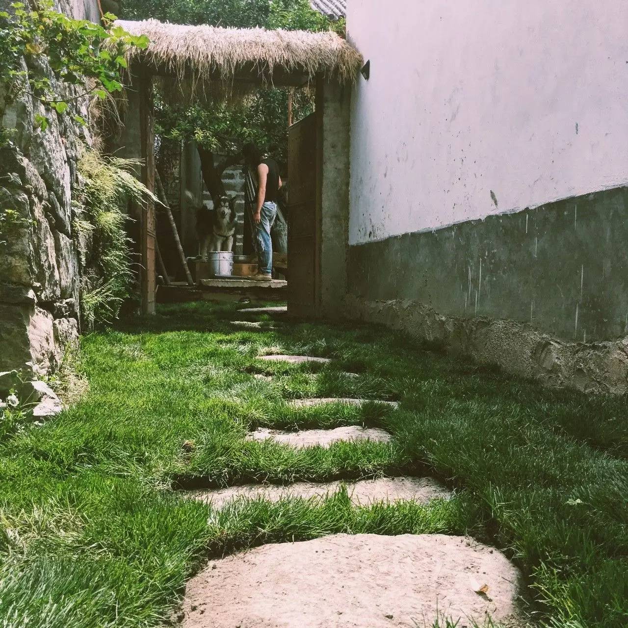 大理吾居，吾之居所無拘無束