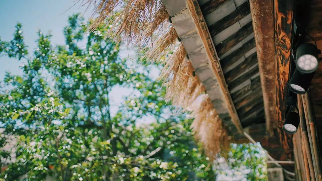 大理吾居，吾之居所無拘無束